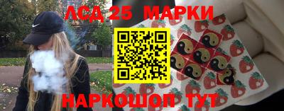 индика Нальчик
