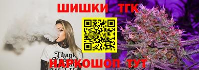 индика Нальчик