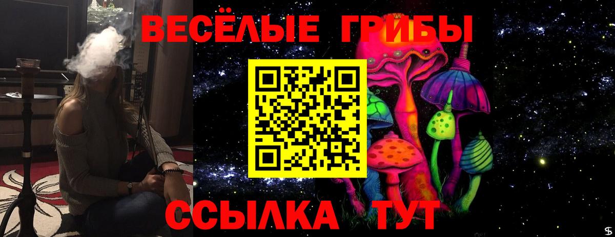 Буйнакск  Галлюциногенные грибы Psilocybe  Вход с VPN 